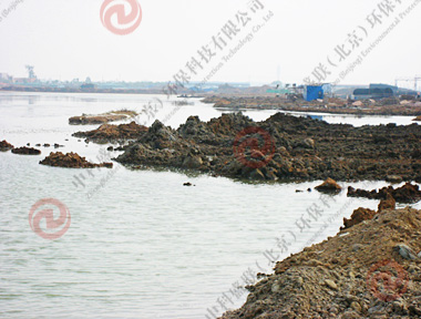 湛江东海岛龙腾集团软基硬化项目